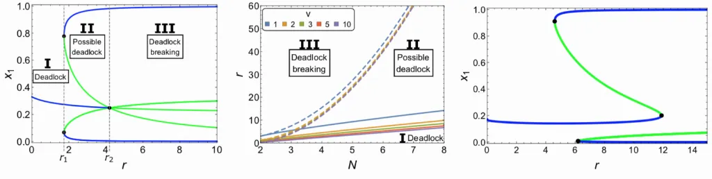 Reina bifurcation decision-making