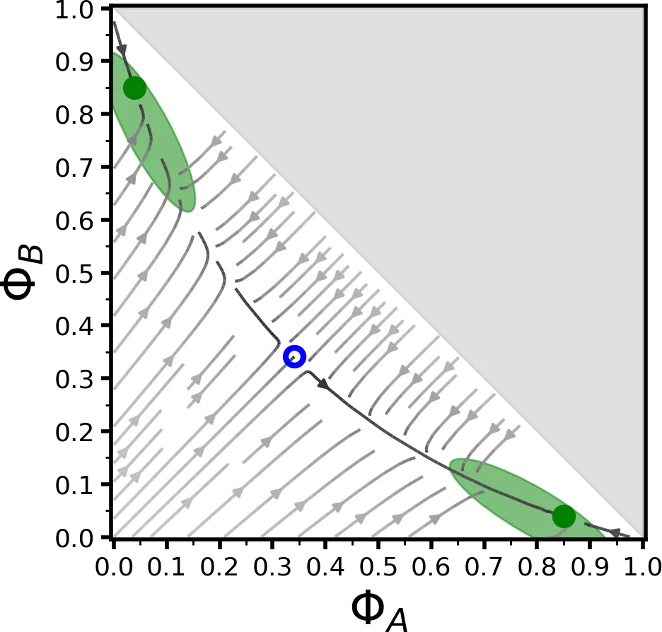 Reina multiscale modelling MuMoT