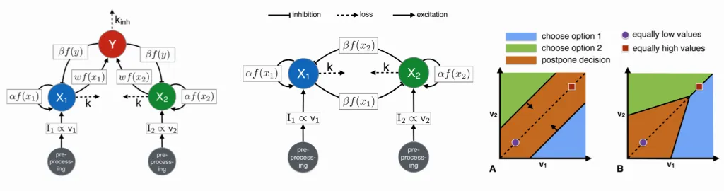 Reina bifurcation decision-making