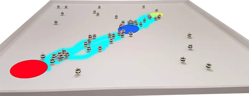Reina collective foraging Kilobots