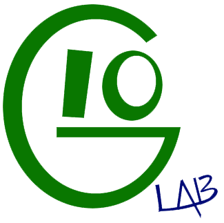 Group Intelligence and self-Organisation Lab