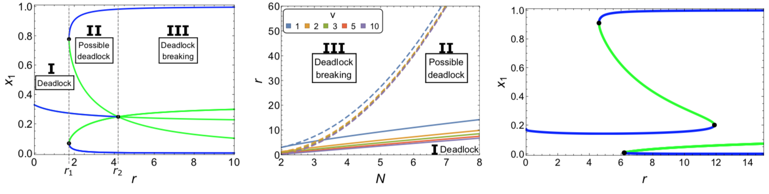 Reina bifurcation decision-making