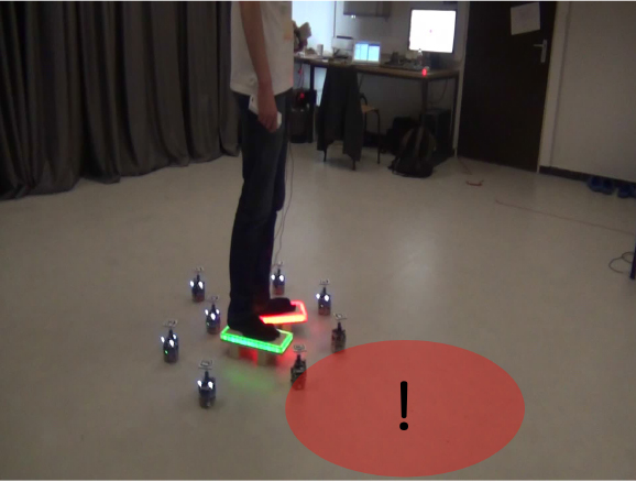 Human-swarm interaction Reina Birattari Podevijn Debruyn IRIDIA