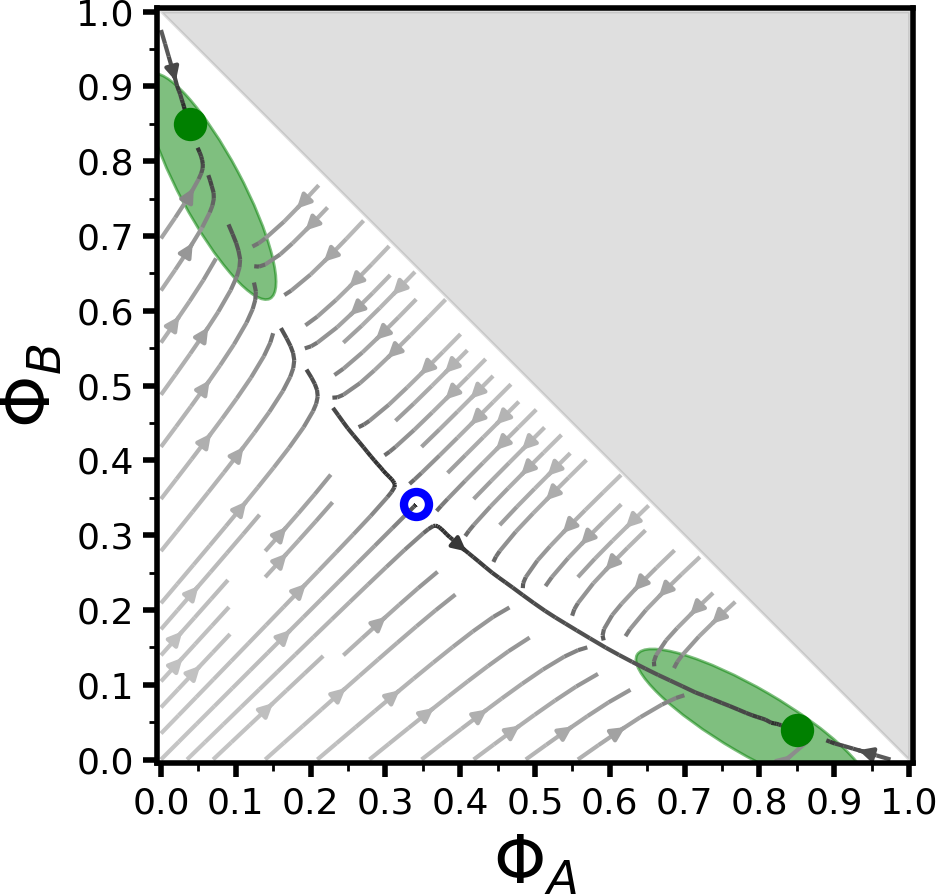 Reina multiscale modelling MuMoT