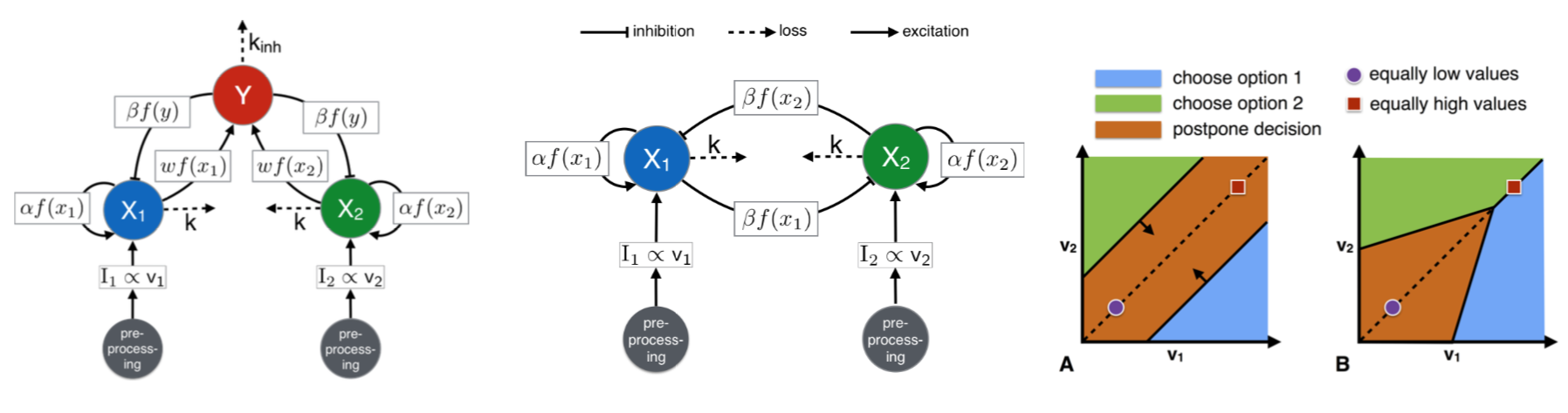 Reina bifurcation decision-making