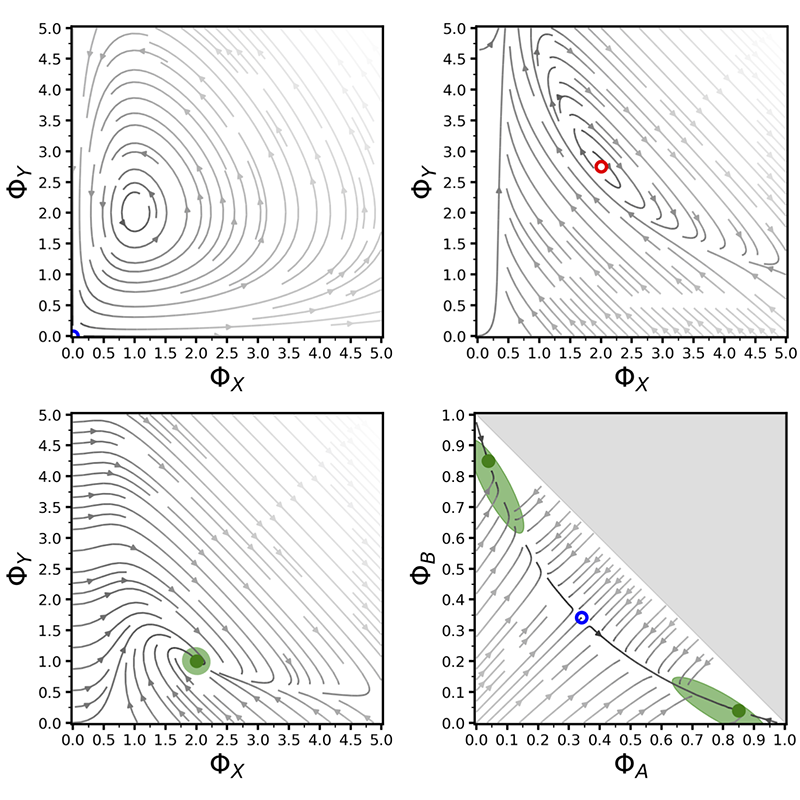 Reina Multiscale Modelling