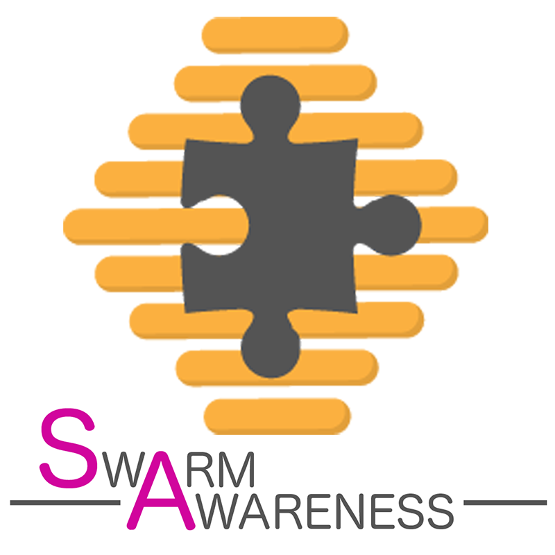 Reina Swarm Awareness