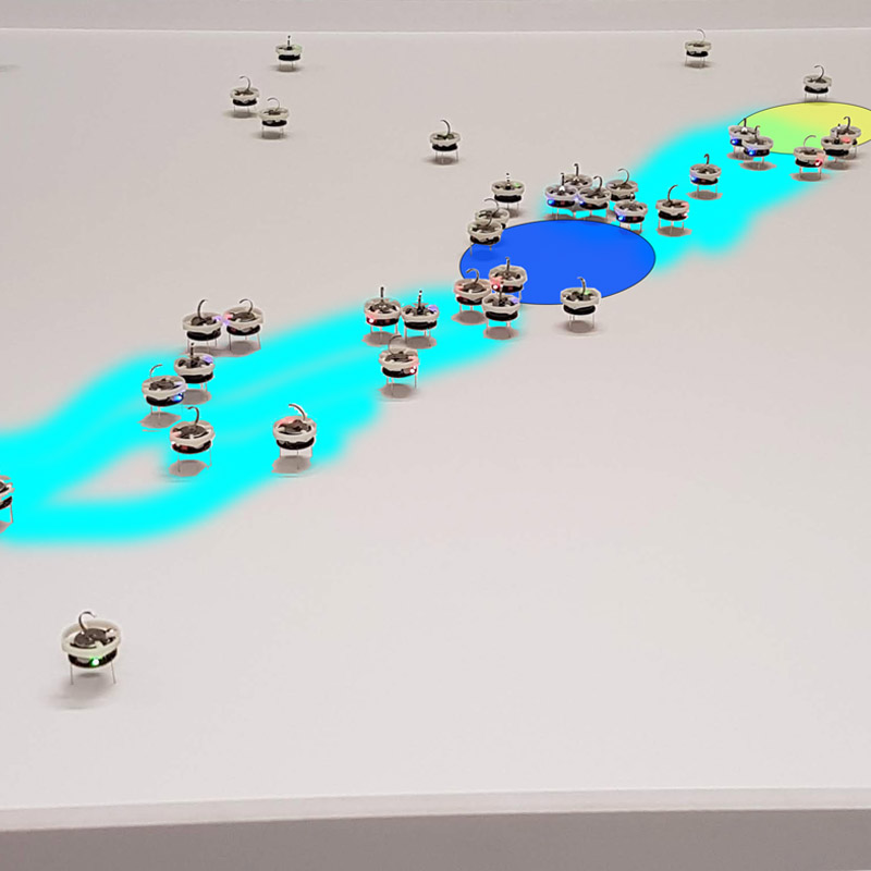 Collective foraging with minimalist agents